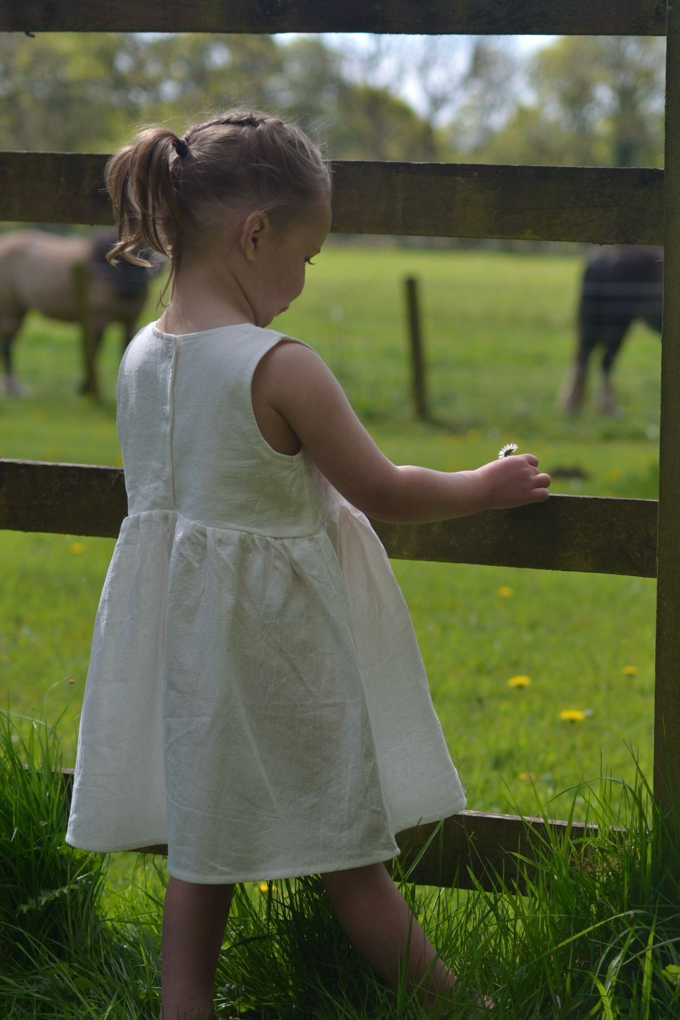 DAINTY SUMMER COTTON DRESS