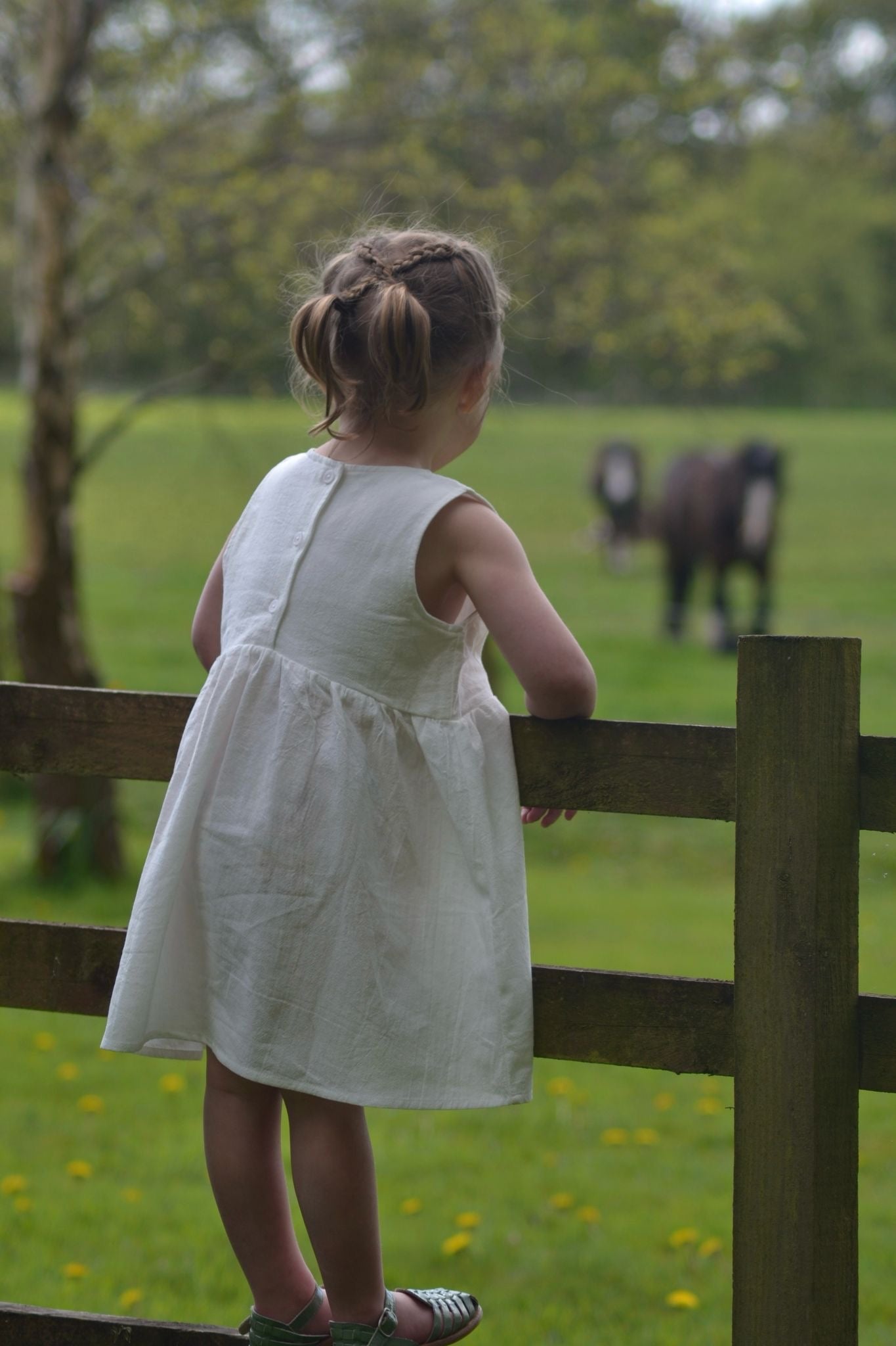 DAINTY SUMMER COTTON DRESS