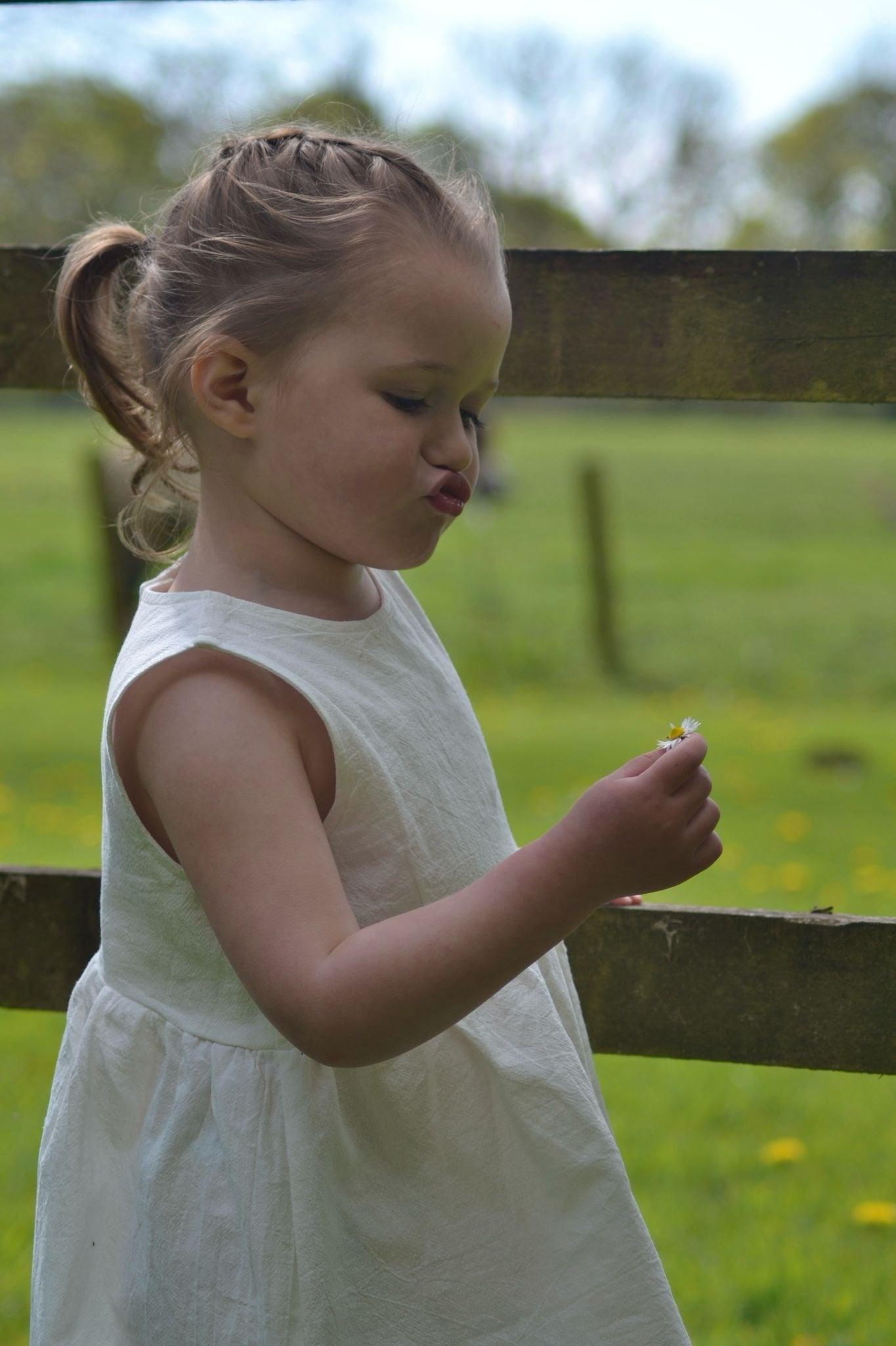 DAINTY SUMMER COTTON DRESS