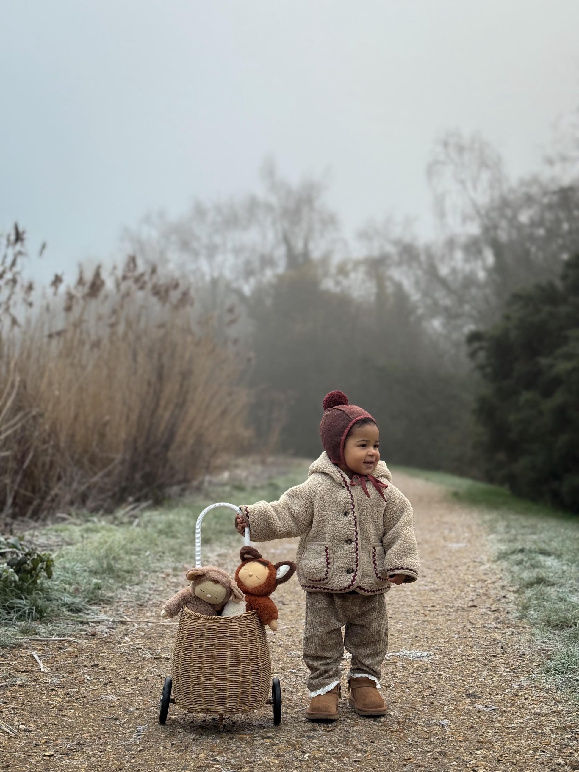 Child in a coat and hat pushing a toy stroller with a teddy bear in a natural setting.